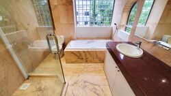 Dunearn Road (D11), Condominium #520938201